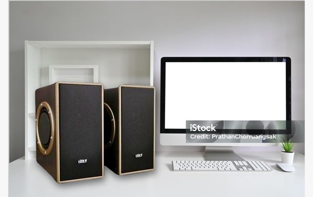 Bộ loa máy tính BL X1 có thiết kế đơn giản, nhỏ gọn, dễ dàng bố trí trên bàn làm việc hay kệ tivi. Mỗi loa có kích thước nhỏ gọn, trọng lượng nhẹ, màu sắc trang nhã, sang trọng.
