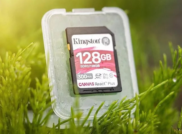 Kingston 32GB sử dụng được với tất cả các thiết bị có khe cắm thẻ Micro SD. Các dữ liệu của công việc và giải trí của bạn được lưu trữ trong một chiếc thẻ Micro SD vô cùng nhỏ bé. Nếu cần sử dụng với các thiết bị chuyên dụng, đòi hỏi thẻ nhớ kích lớn hơn. Thẻ nhớ Micro Kingston 32GB  hoàn toàn đáp ứng tốt.